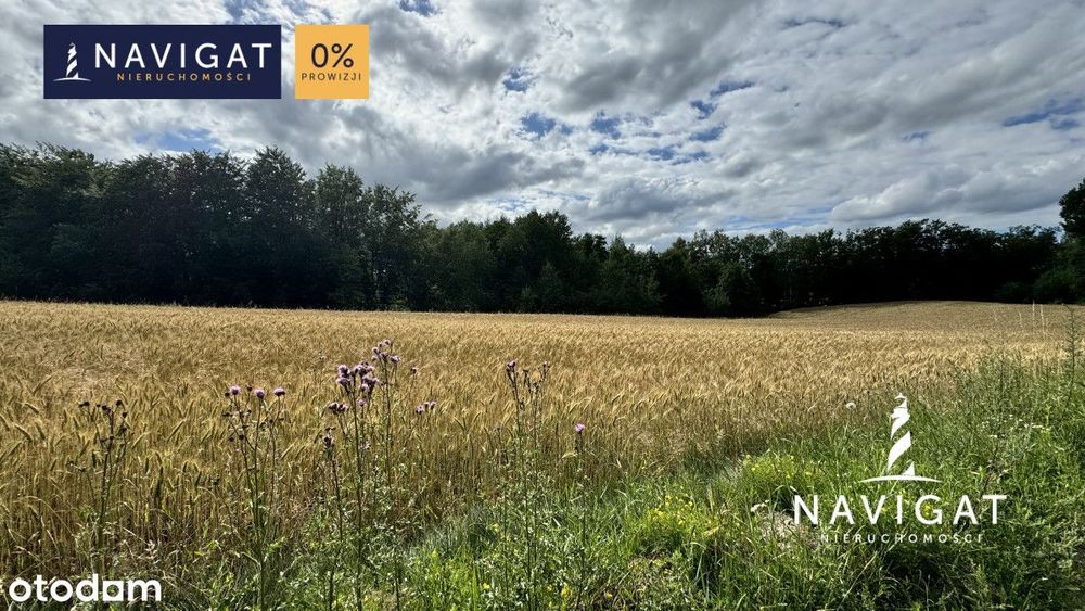 Działka nieopodal jeziora blisko Trasy Kaszubskiej