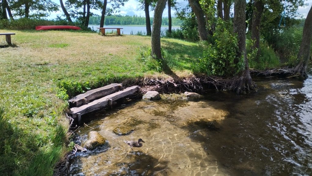 Domek nad jeziorem, Mazury, kajaki, rower wodny