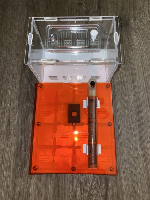 Formikarium dla mrówek