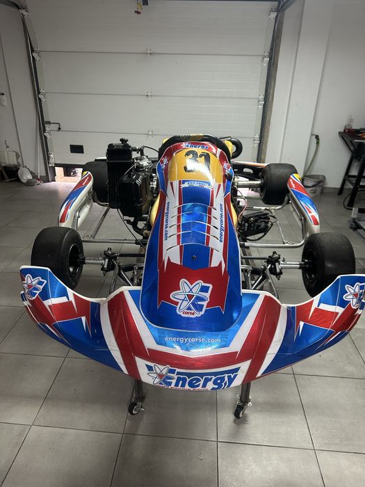 Kart rotax max 125 como novo