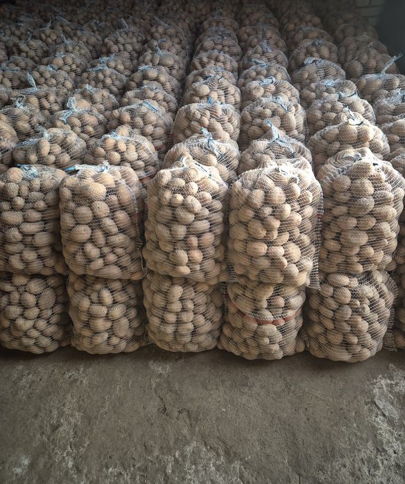 Sprzedam ziemniaki irga prosto od rolnika