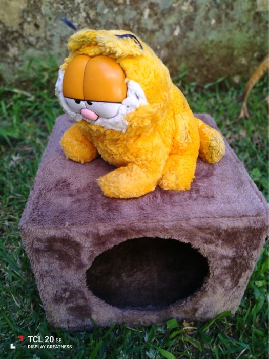 Garfield na sua casota