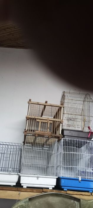Vendo cinco gaiolas