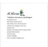 Trabalhoa silvicultura e jardinagem