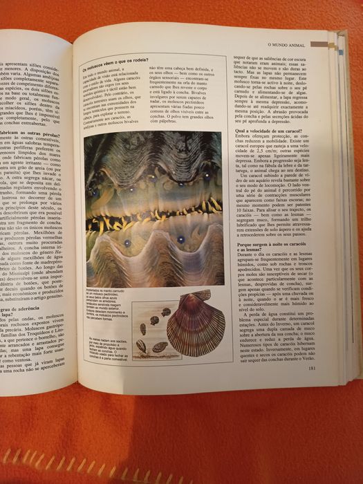 Livro ABC da Natureza