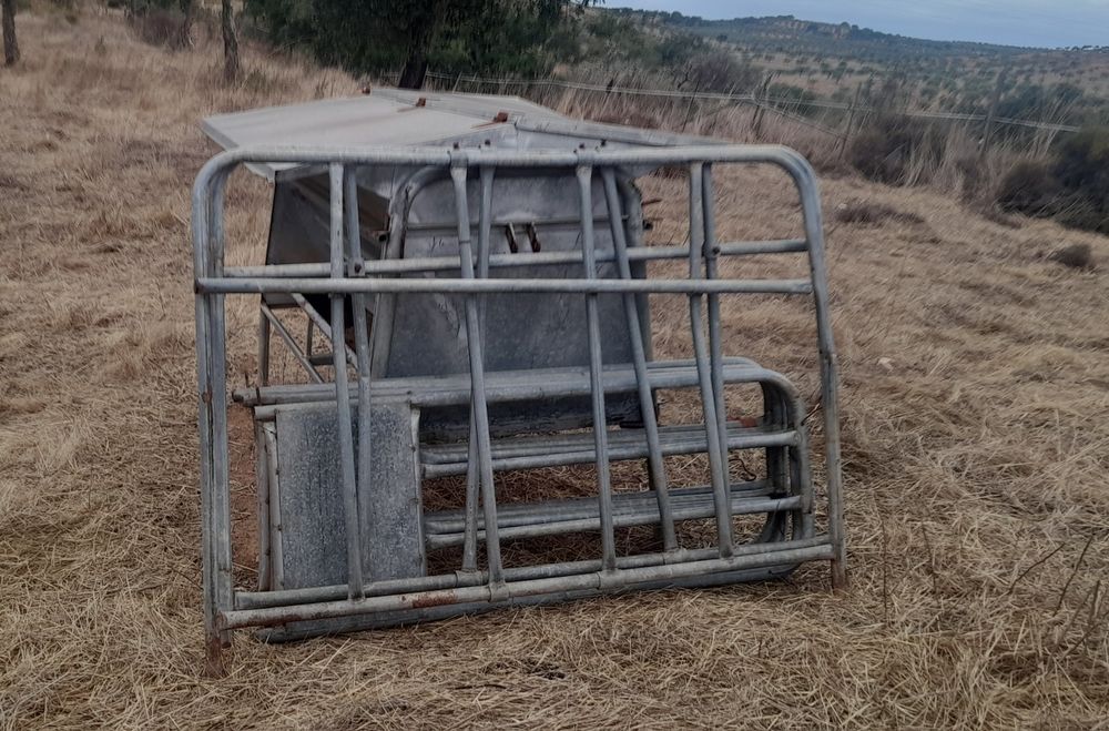 Comedouro vacas bezerros vitelos