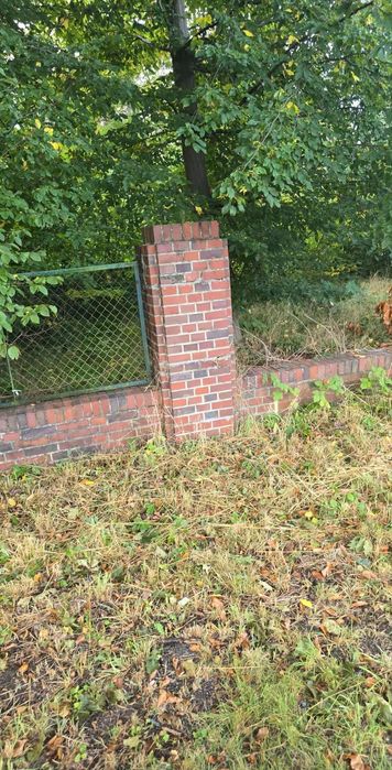 Czerwona cegła oddam.