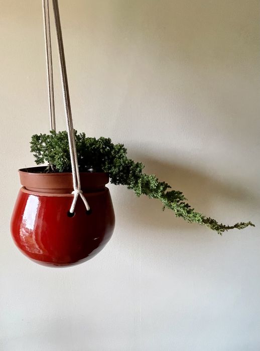 Vaso Floreira Pendurar Bonsai,  Suculentas