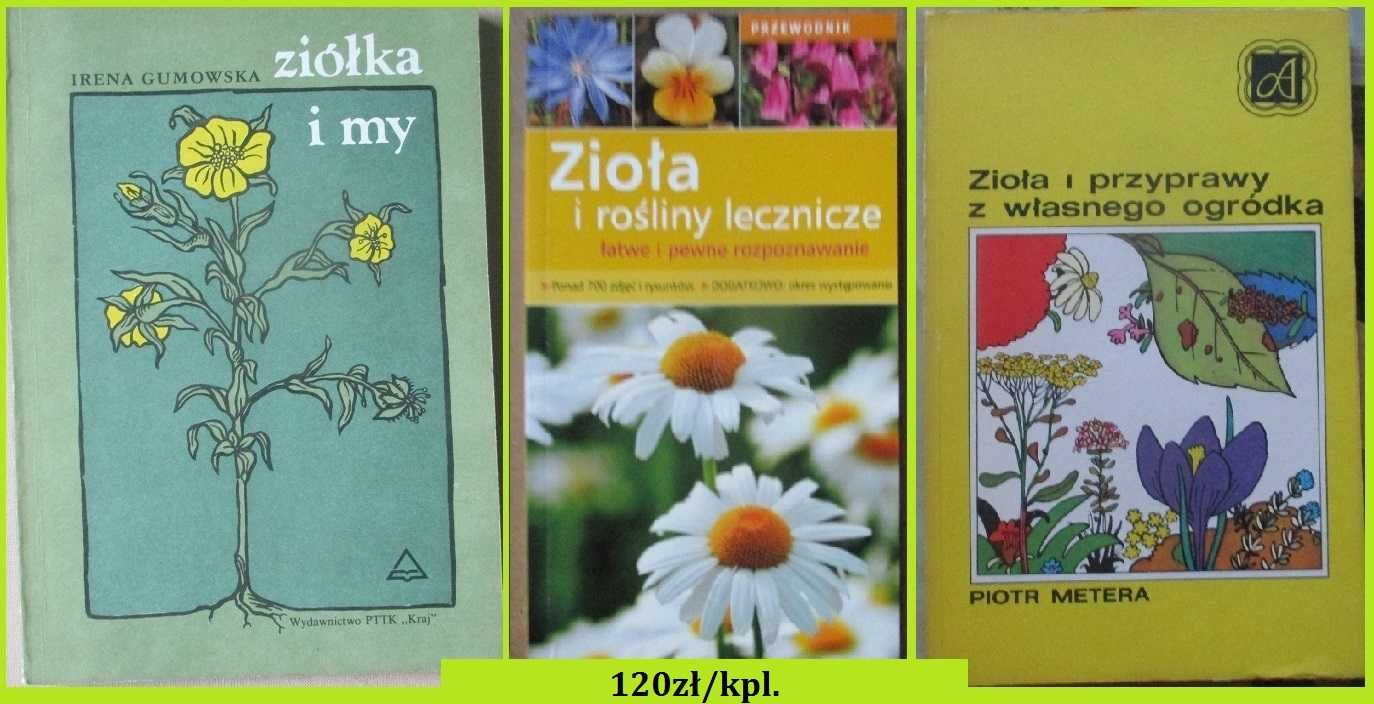 Ziólka i my/Zioła i rośliny lecznicze/Zioła i przyprawy z ogródka