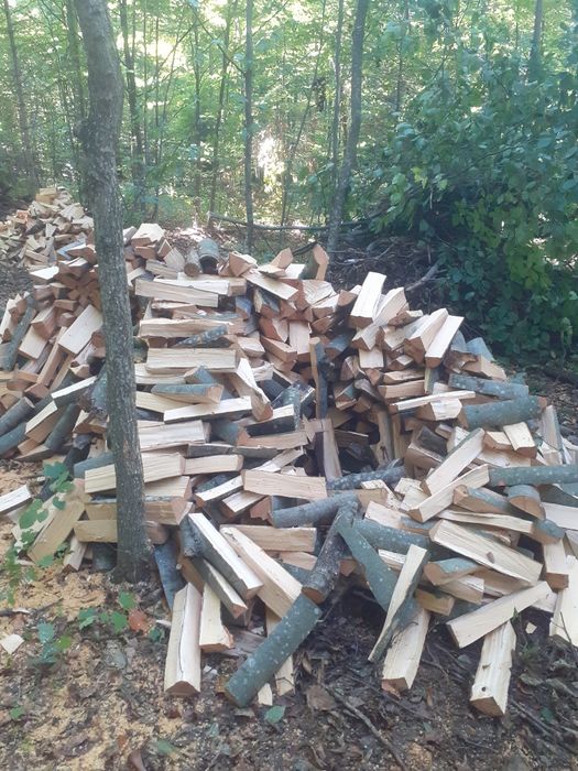 Дрова твердої породи бука та граба