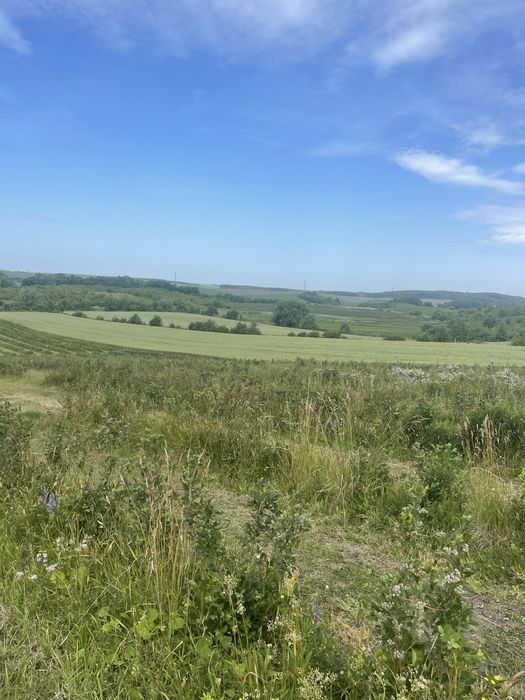 Продаж земельної ділянки з бізнесом 4 га