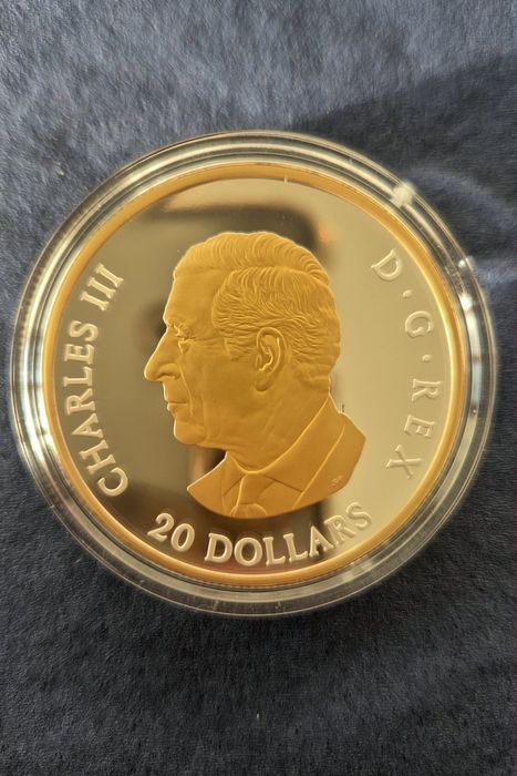 Повна колекція срібних монет "Портрети тварин 2025"!