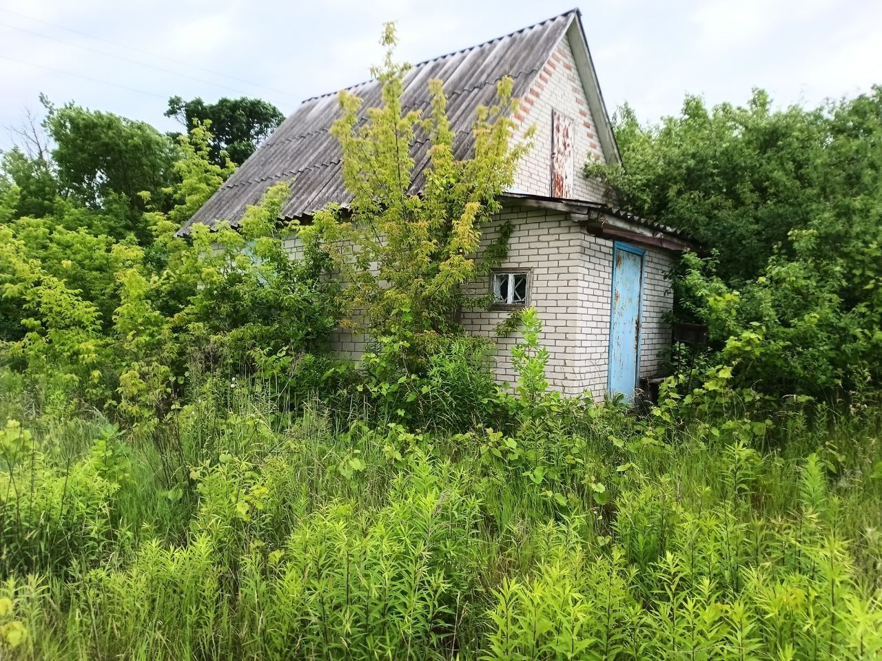 Продається дача Місто Суми,село Любачеве