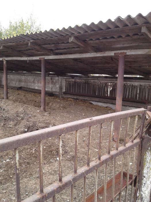 Продам отдельностоящую животноводческую ферму в Криворожском районе