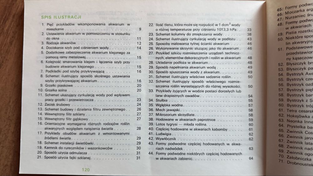 Akwarium w mieszkaniu Stefan Kornobis