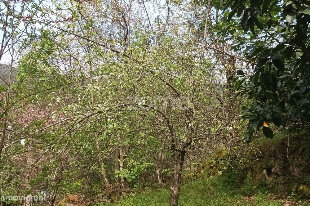 Terreno Rustico em Vieira do Minho