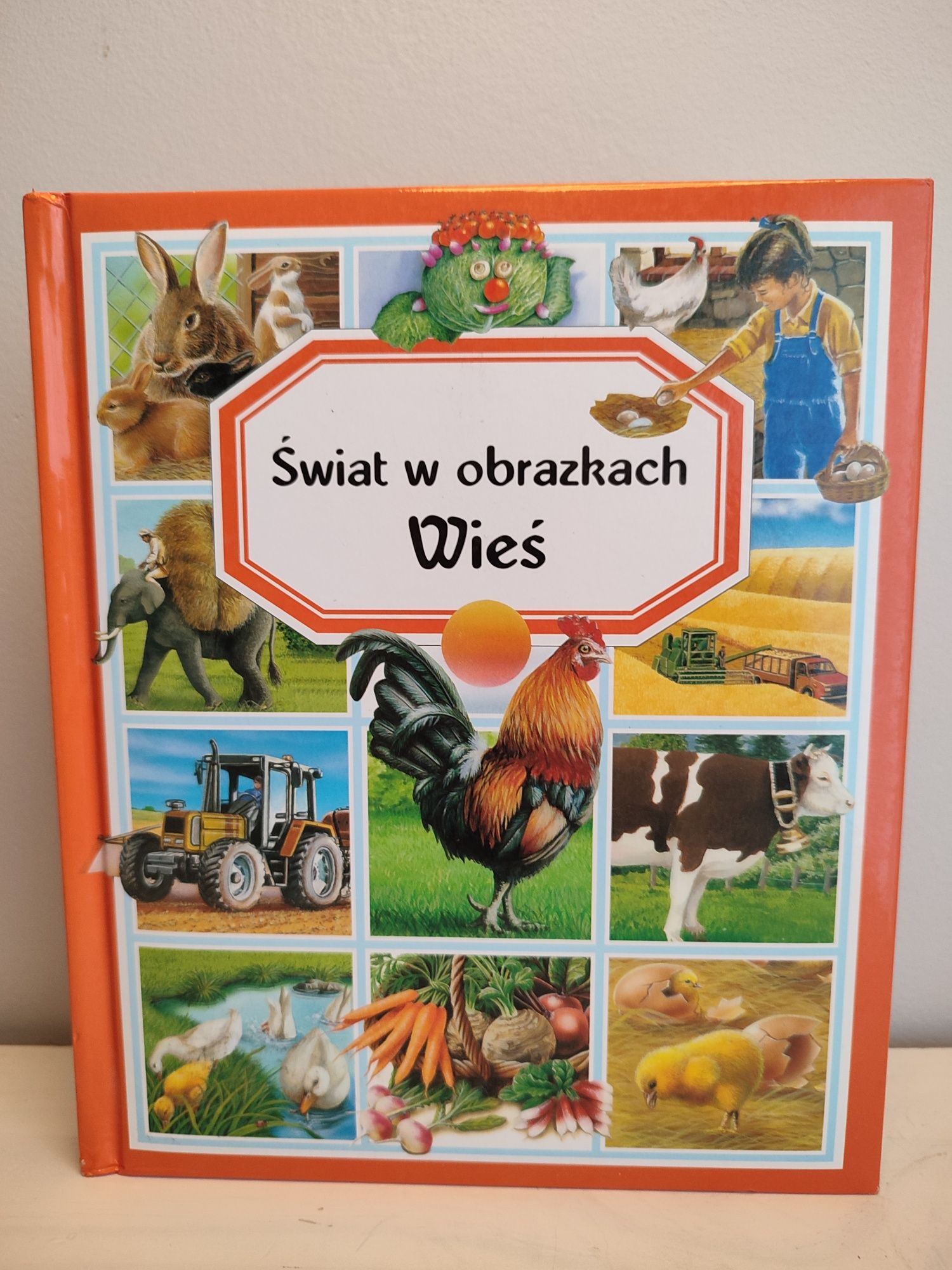 Wieś. Świat w obrazkach