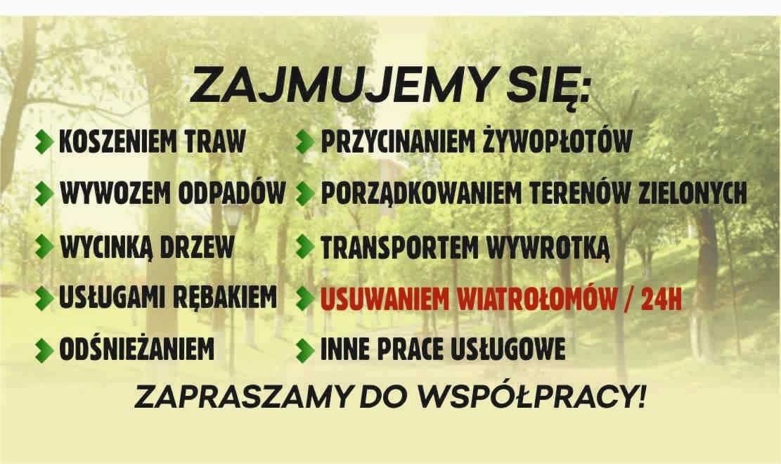 Kompleksowe usługi ogrodnicze - wycinka drzew, koszenie traw