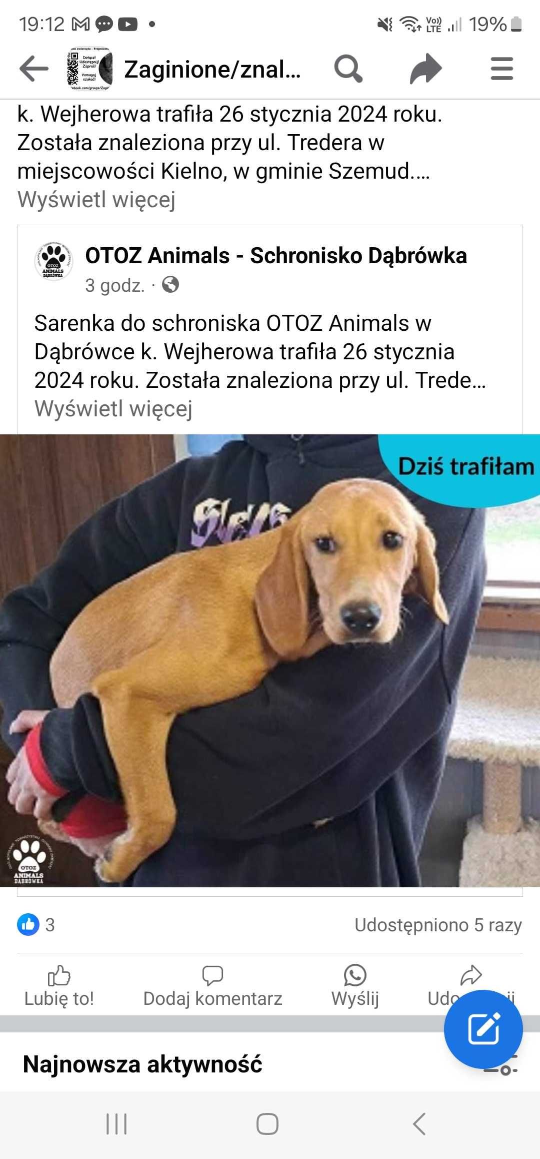 Suczka znaleziona w kielnie