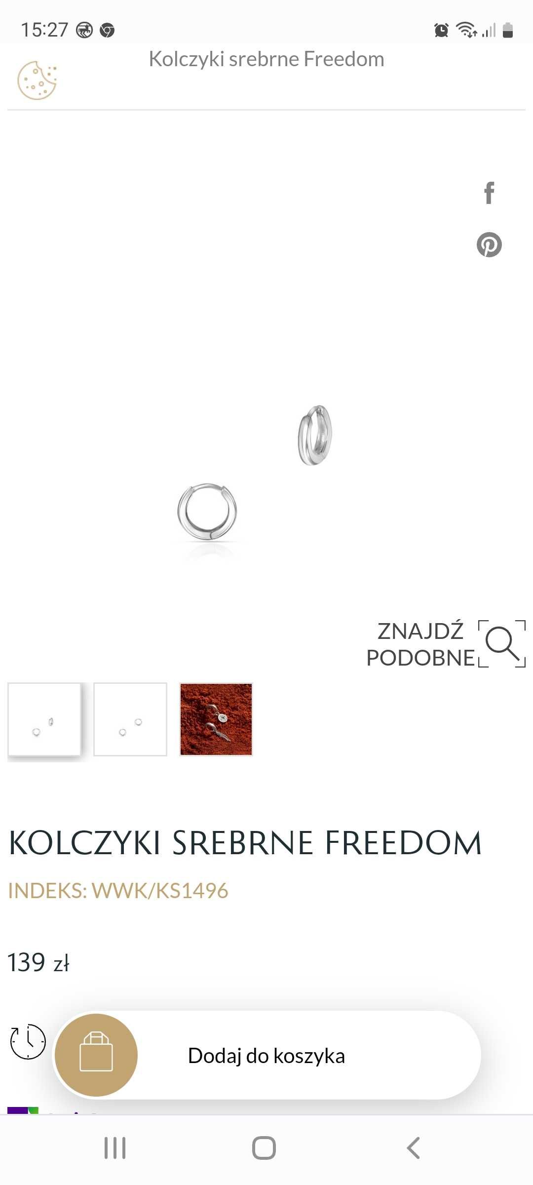 Kolczyki skrzydła Freedom