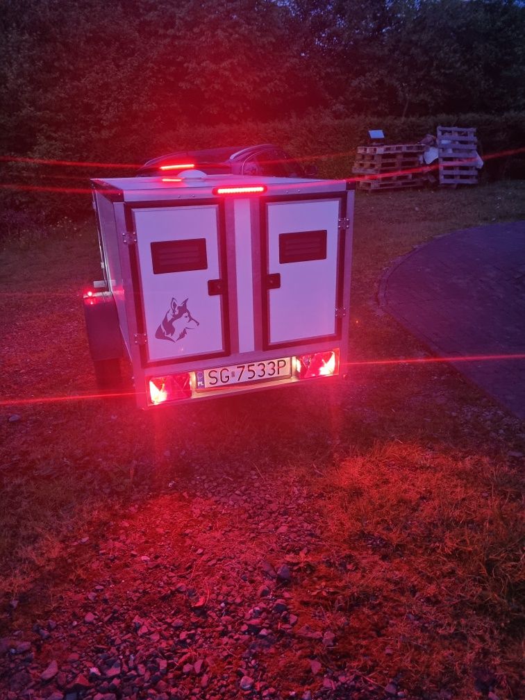 Boksy do przewozu psów