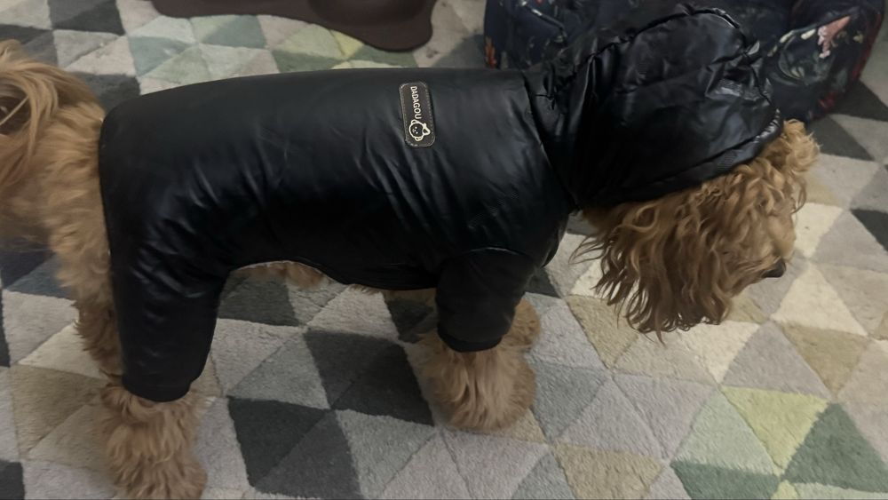 Комбинезон для собаки