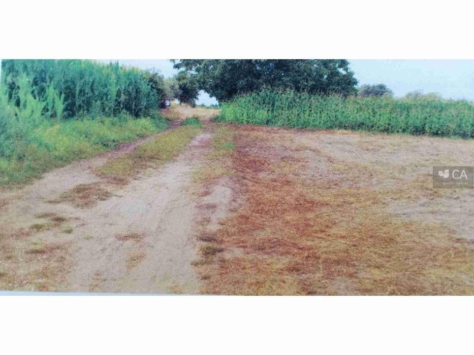 Terreno Rustico - Vale Saramago - Seixo
