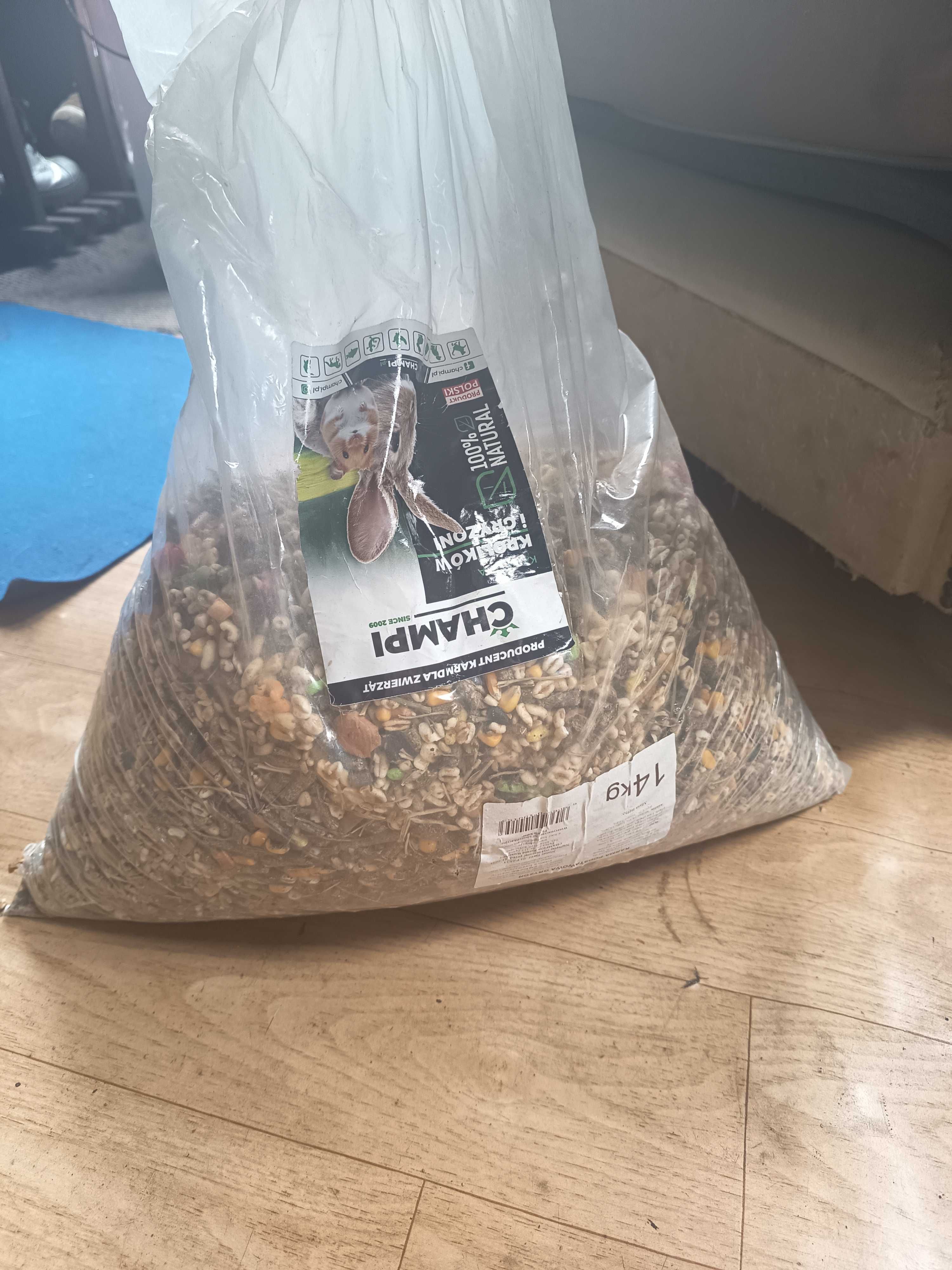 Sprzedam Świnki morskie/Kawia domowa