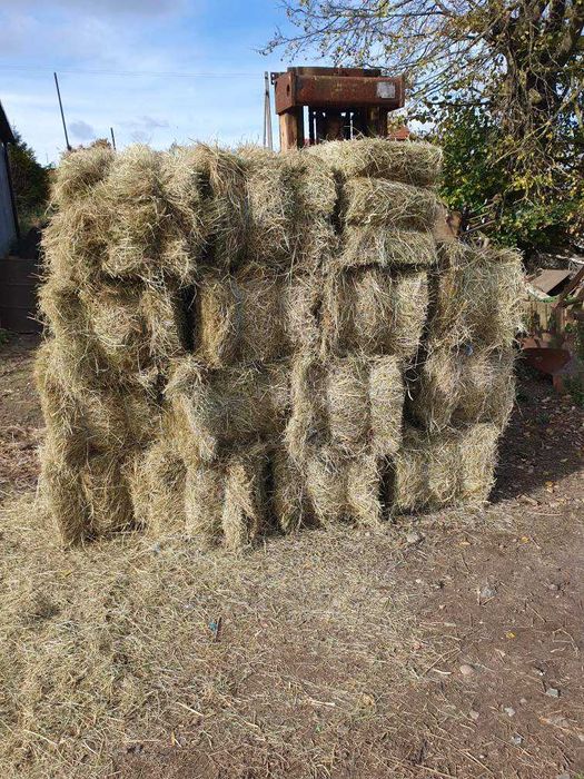 Siano w balotach lub kostkach