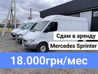 Оренда буса грузового оренда  Mercedes sprinter бус в аренду оренду