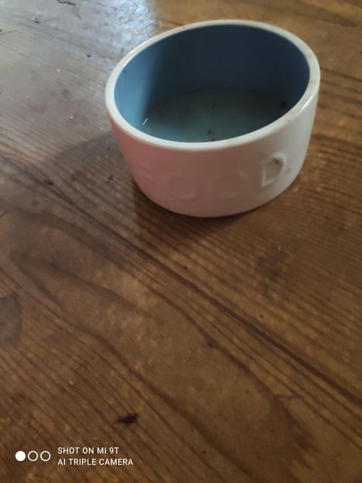 Miseczka ceramiczna dla gryzonia