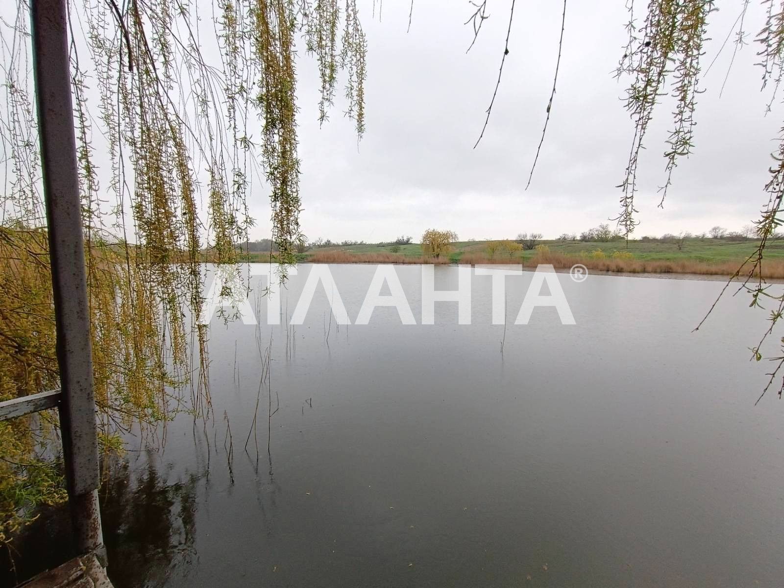 Просторная усадьба на берегу пруда в селе Великий Дальник