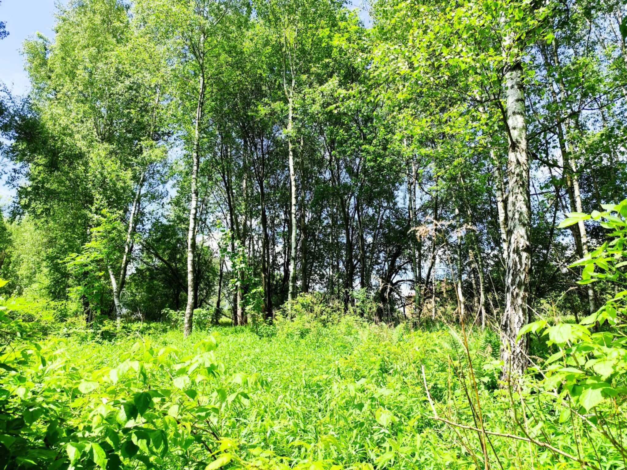 Sprzedam działki budowlane Pietrusza Wola
