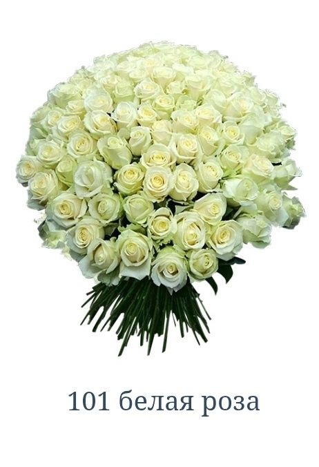 Подарок любимой 101 роза