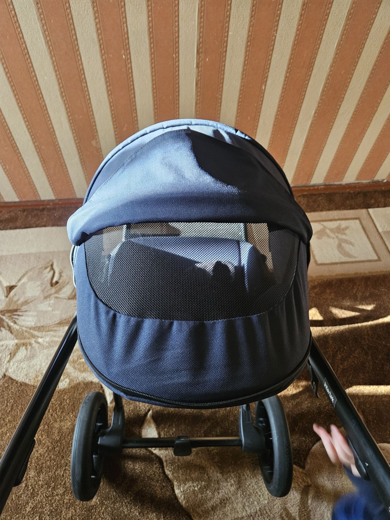 Коляска Anex m/type 2 в 1 splash/new синя