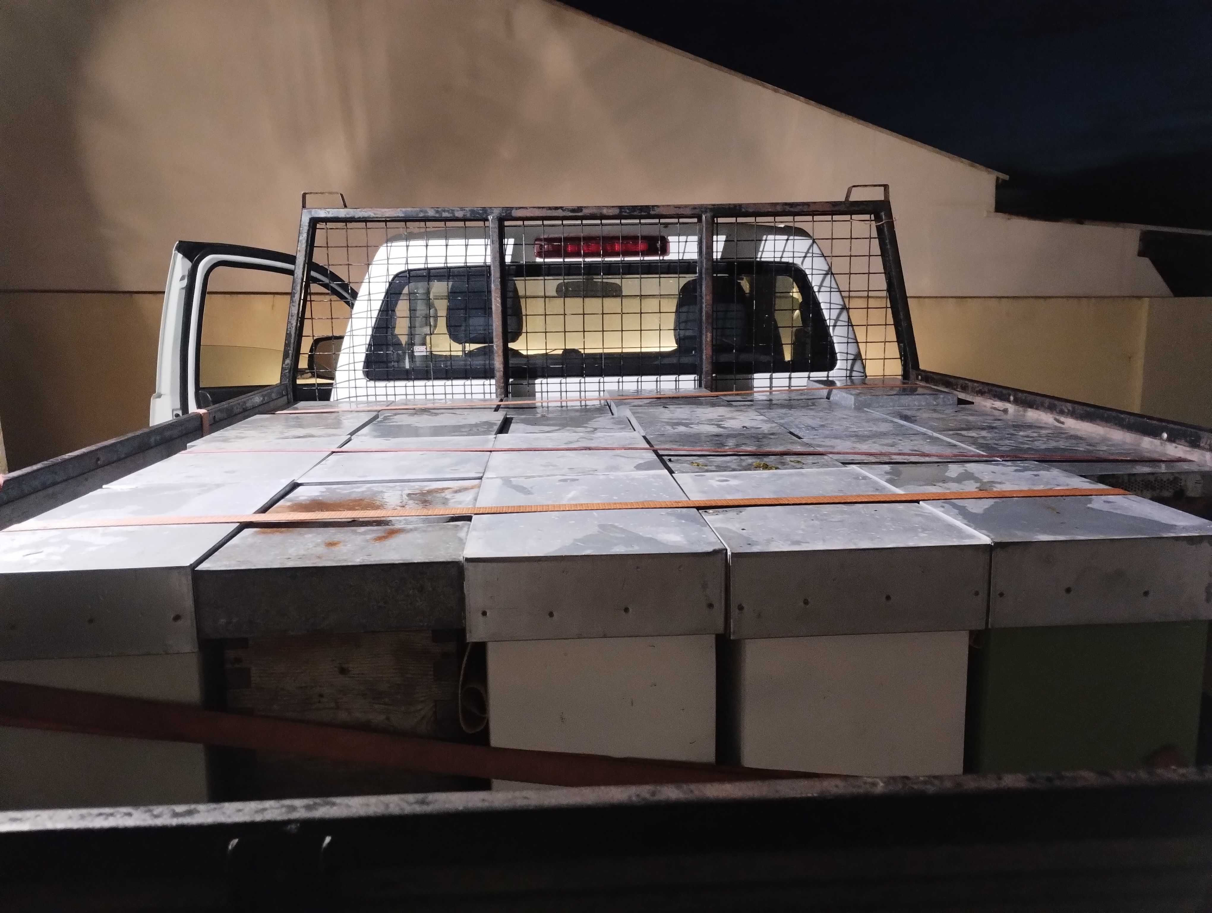 Enxames de abelhas 2025 Ainda disponíveis