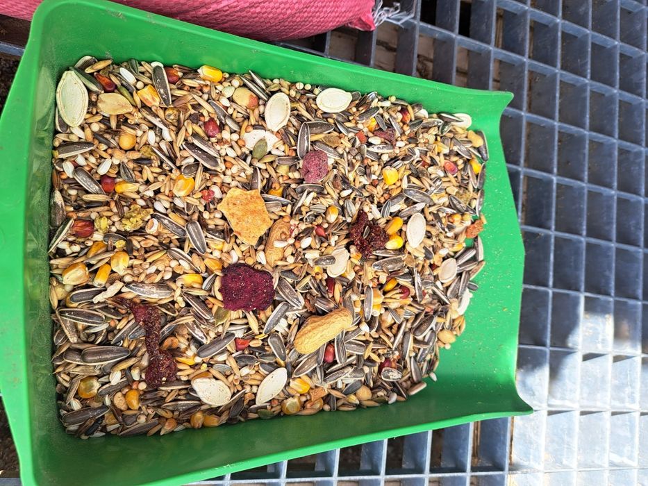 karma,mieszanka 6zł kg papuga duża 20kg za 120 zł owoce,orzechy
