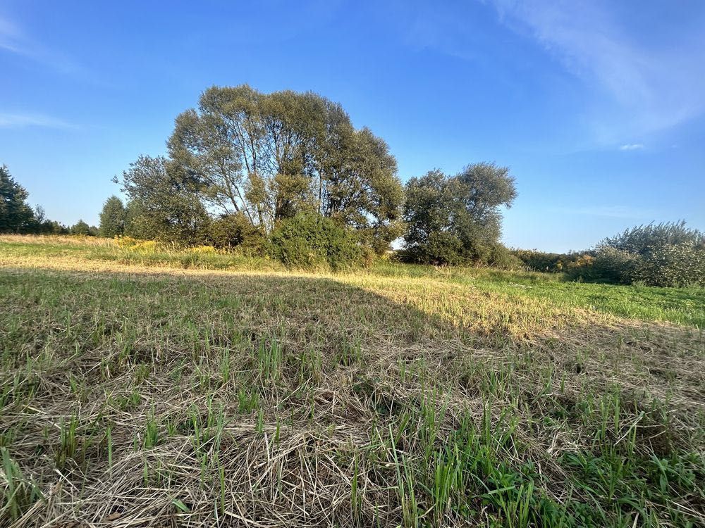 Działka budowlana Niegowonice 10 arów