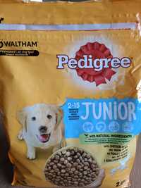 Karma Pedigree Junior