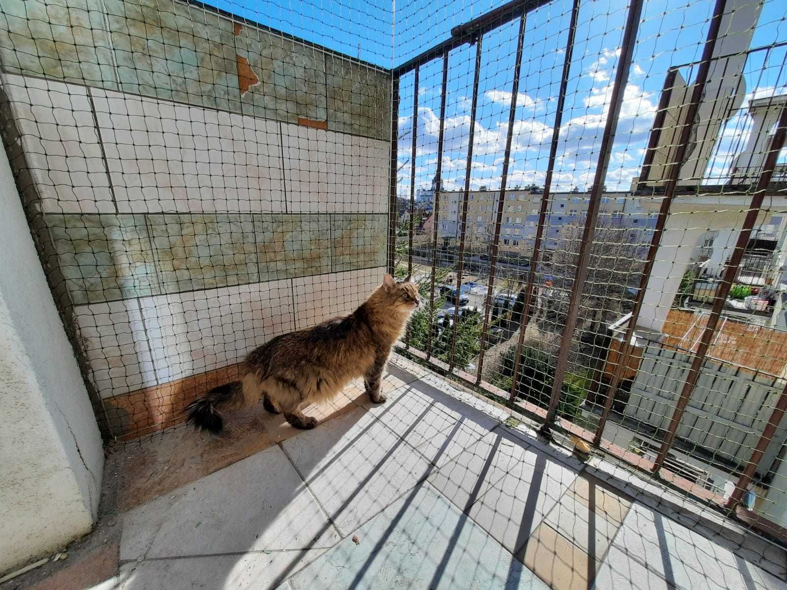 SIATKA DLA KOTA zabezpieczająca balkon !! Działamy na całym Podlasiu!!