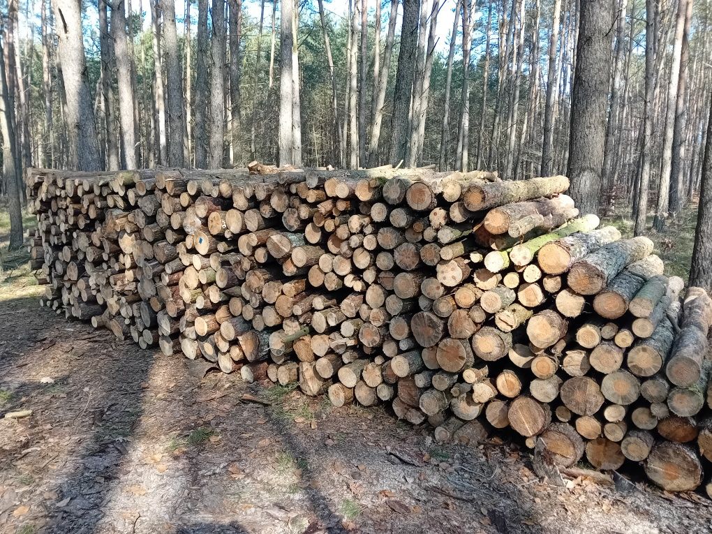 Suche drewno sosna opał wałki sosnowe