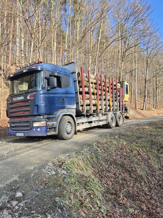 Drewno opałowe i kominkowe BUK