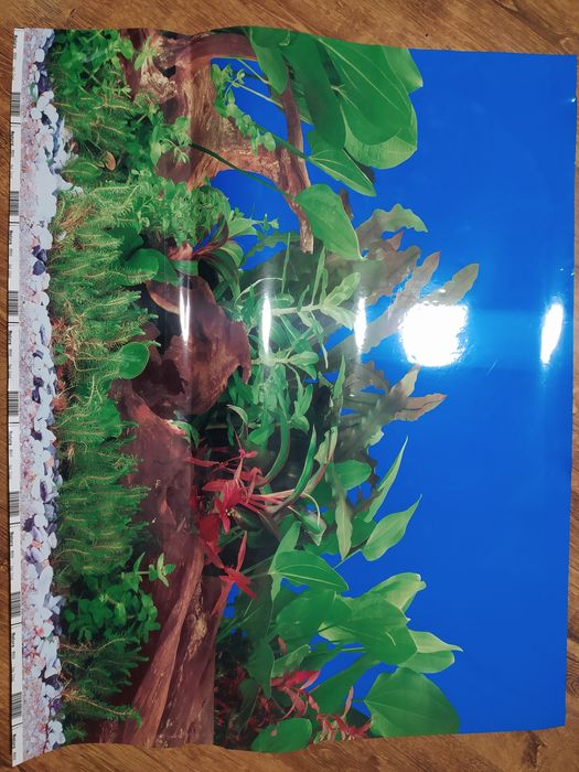 dwustronne tło do akwarium