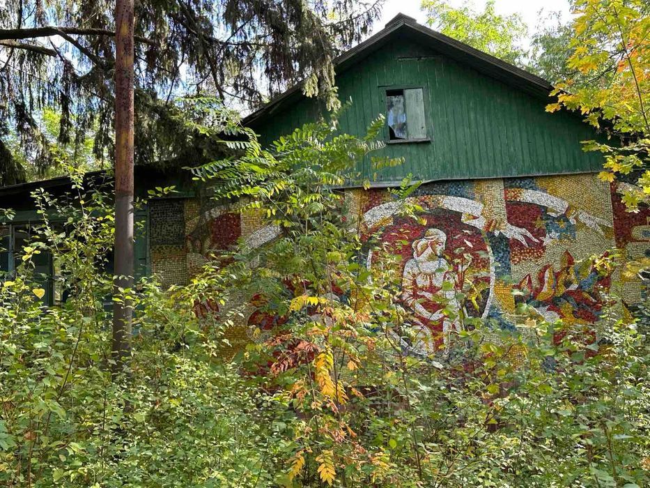 Продам бывший детский лагерь в центре пгт. Высокий