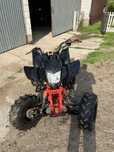 Quad bashan  250