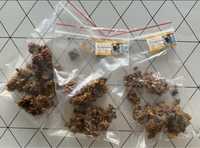 Propolis , kit pszczeli 100 gr.