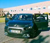 C4 Cactus PureTech Topo Gama