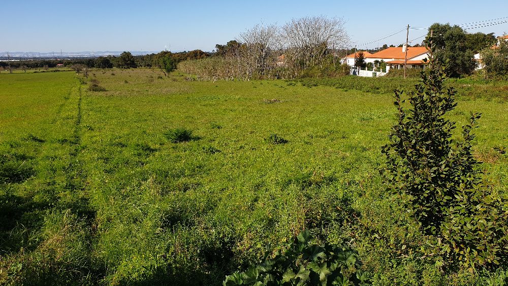 Terreno 1,8 ha parcialmente urbanizável - Quinta do Anjo - Cabanas