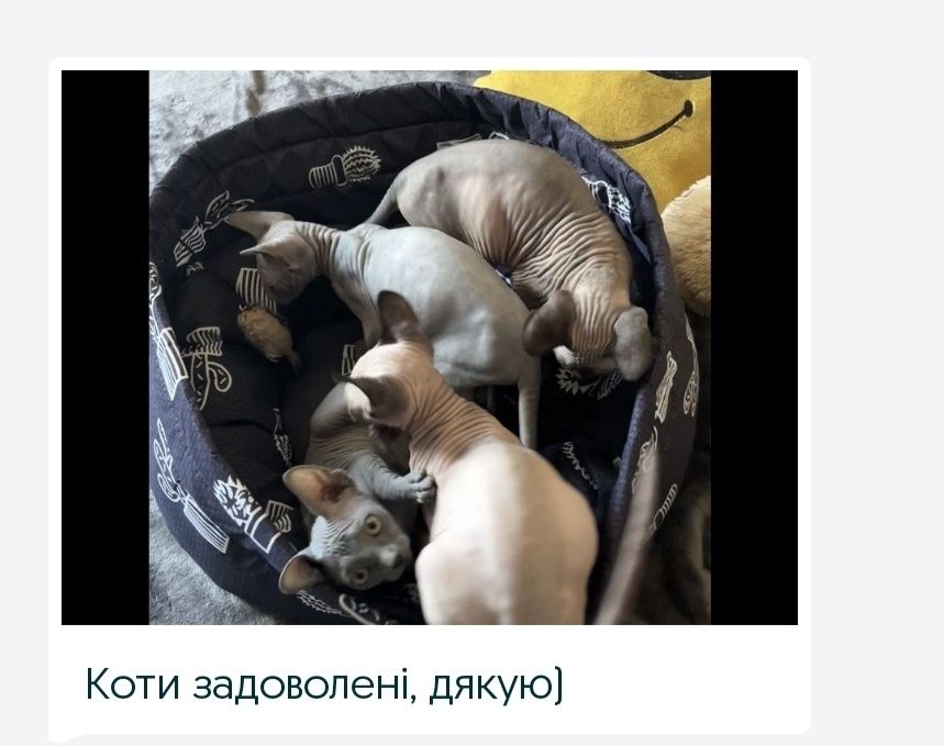 Лежак для собак, лежанка, лежачок, спальное место для собак и кошек