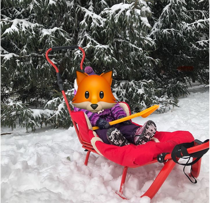 Piccolino санки з конвертом і колесами